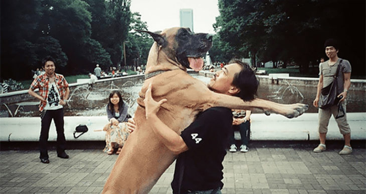 foto perro humano abrazo calle turismo