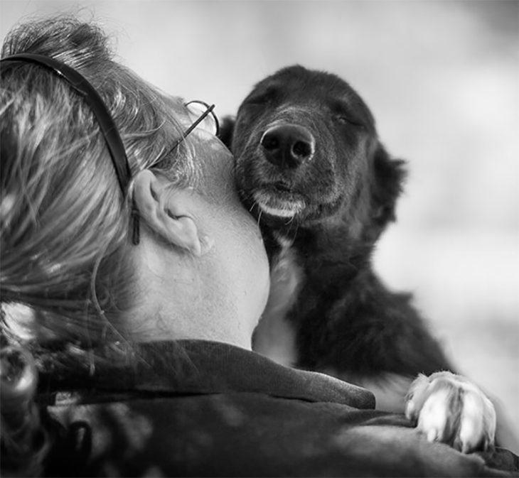 blanco y negro perrito foto abrazo beso