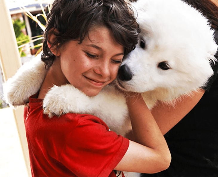 abrazo perro pomerian blanco