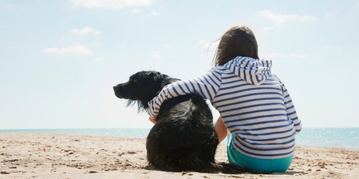 abrazo niña perro playa