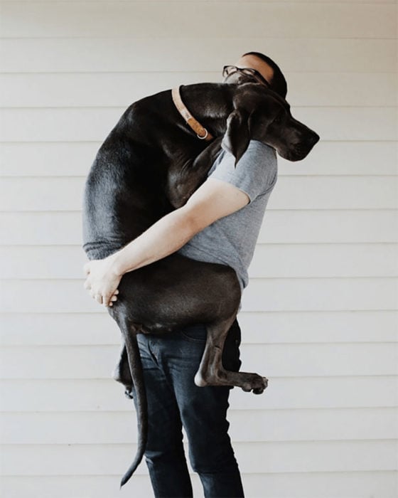 abrazo perro gran danés