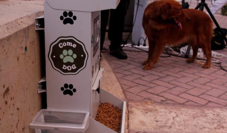 comedor público para perros