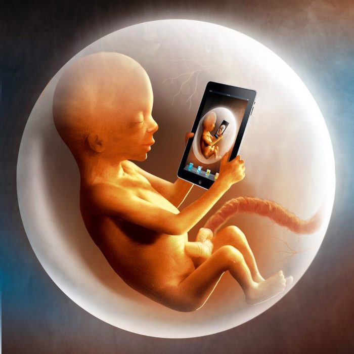 ilustración de un feto con una tablet que tiene una foto de un ipad