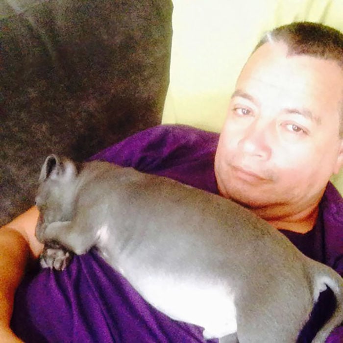 hombre con un cachorro gordito en el pecho