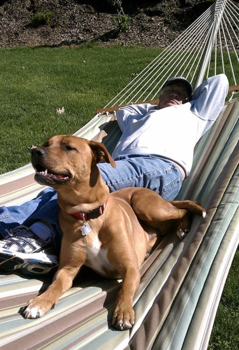 hombre en una hamaca con un perro