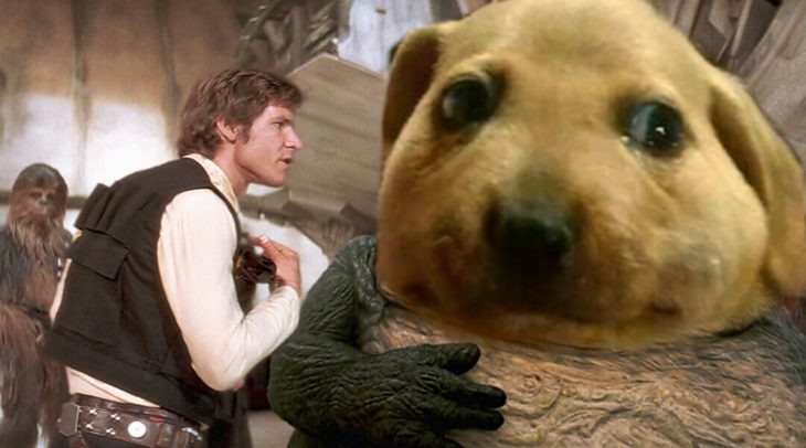 perrito comeabejas jabba the hut