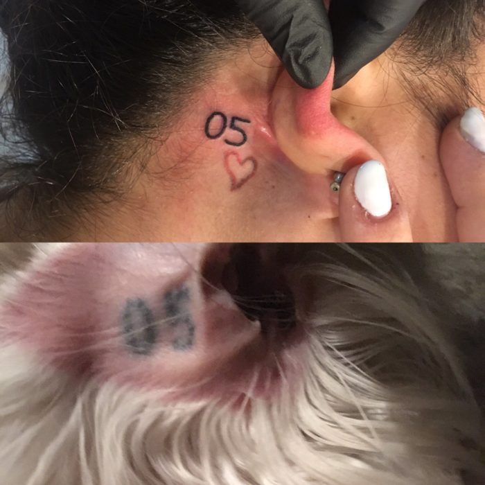 se hace tatuaje de su perro tatuajes