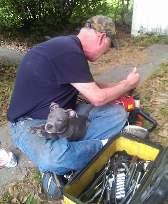 hombre trabajando con un perro en su regazo