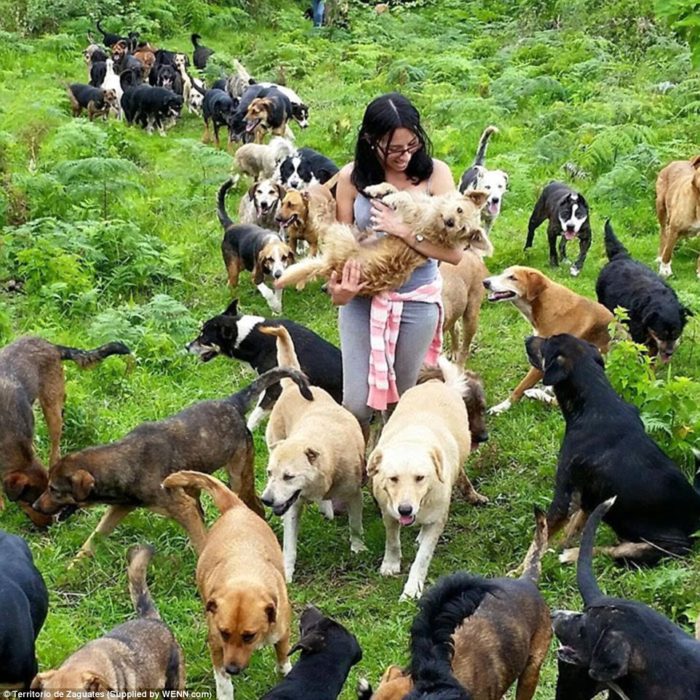mujer con muchos perros