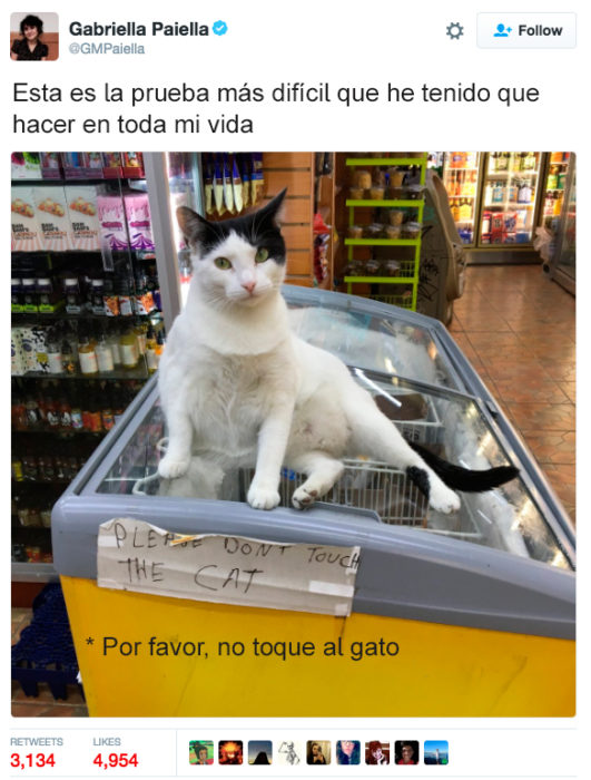 tuit no tocar al gato