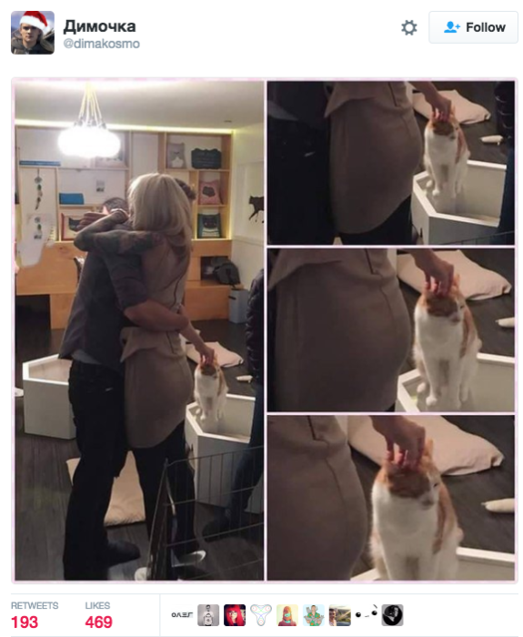 hombre abraza a su novia y acaricia al gato