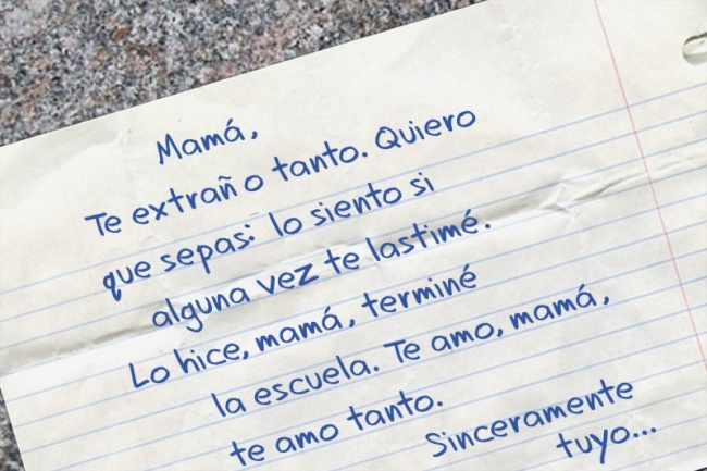 amor amor