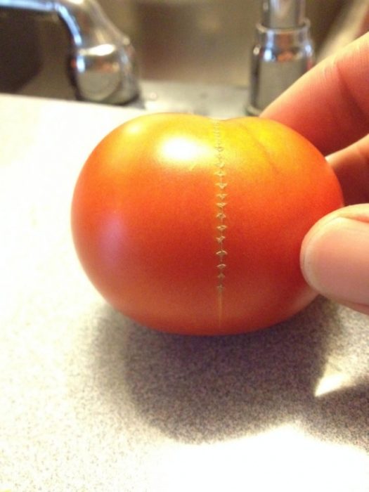 tomate con raya en medio