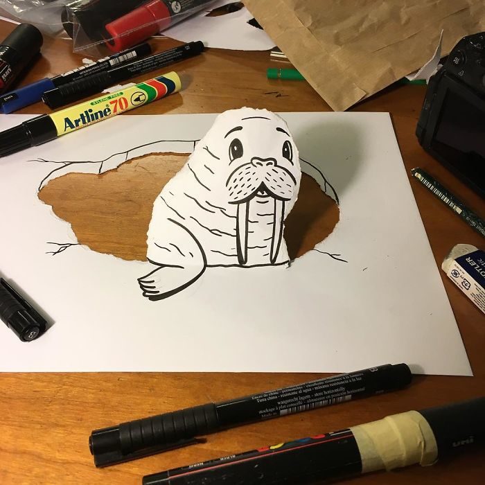 foca dibujo 3d papel