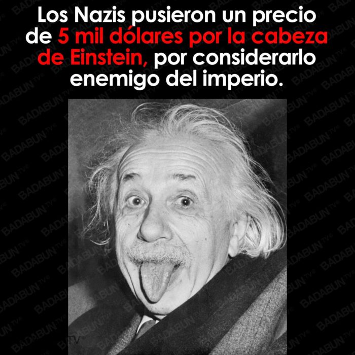 einstein albert nazis