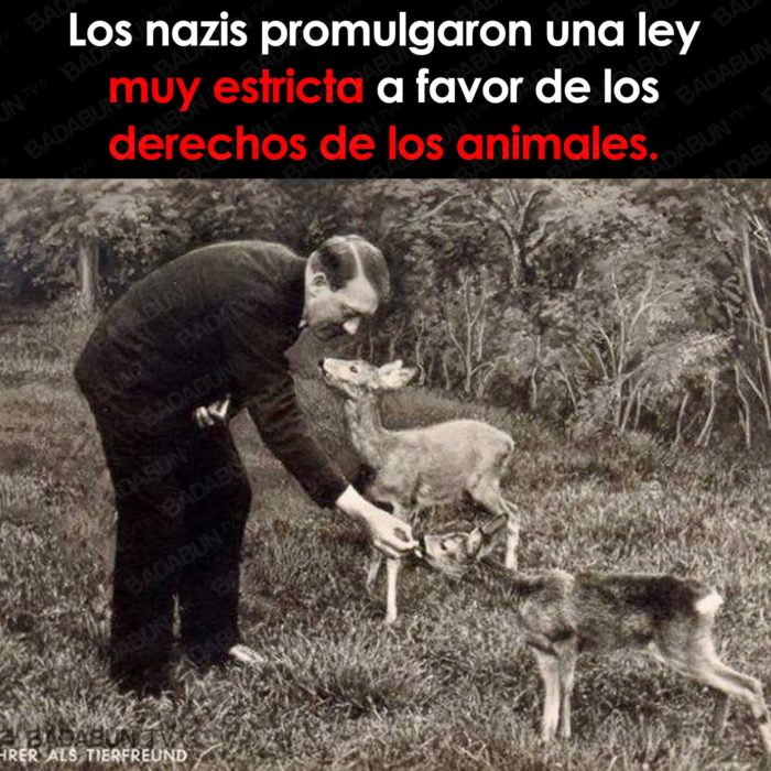 derechos animales hitler nazis