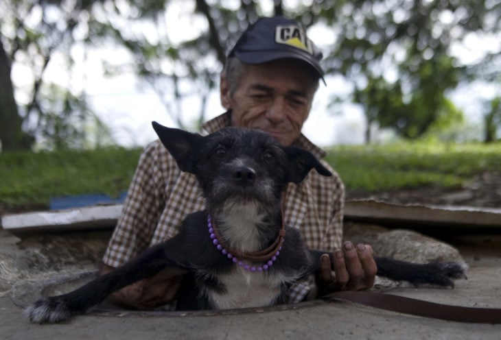 blackie perro alcantarilla 