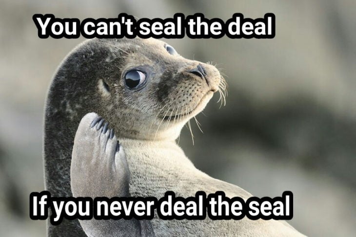 deal seal foca meme 