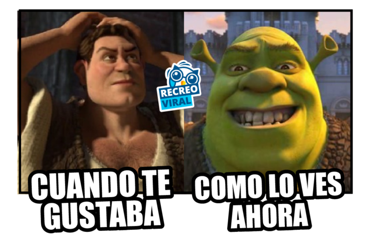 meme de sherk cuando se convierte en humano