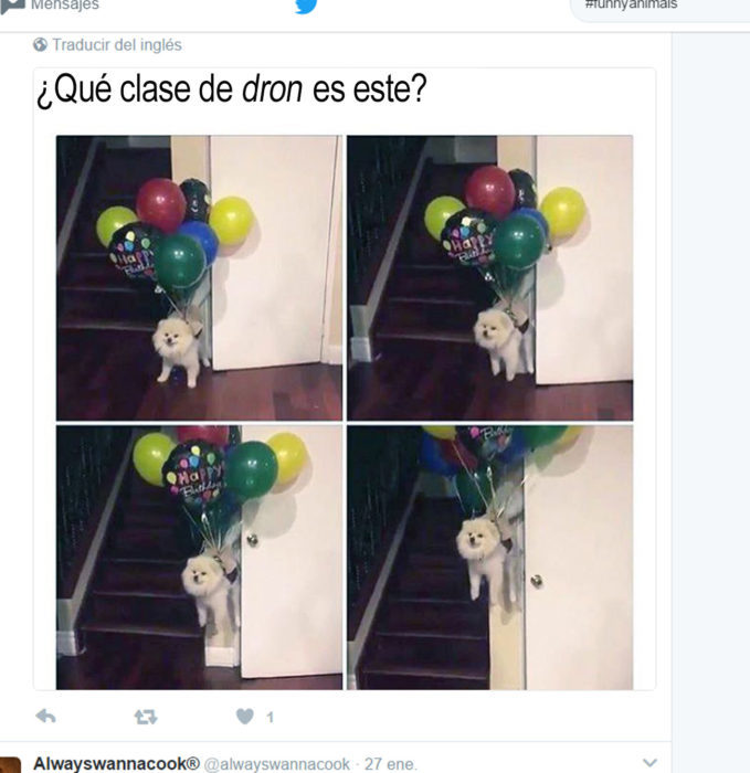 Memes perros - que clase de dron 