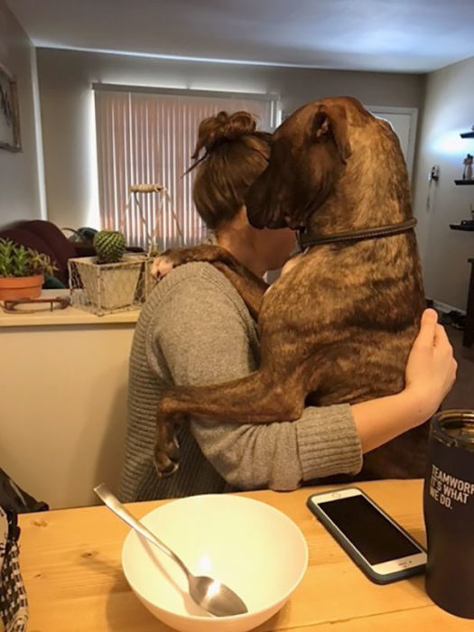 perro abraza a dueña