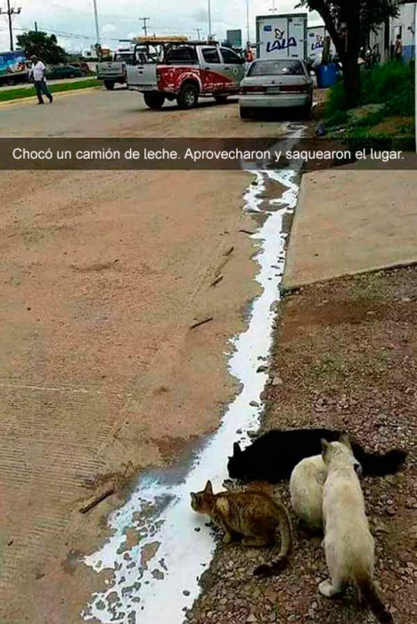 Snapchats divertidos - leche accidente