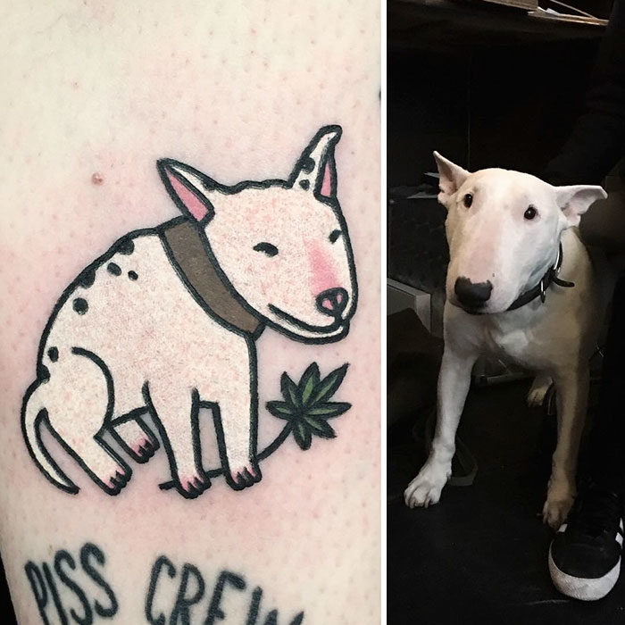 perro cara de mula tatuaje 