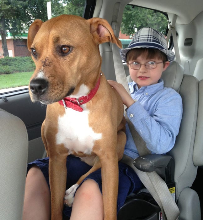 niño y perrita en el auto