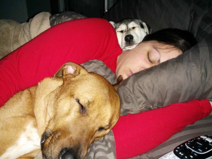 mujer dormida con sus dos perros