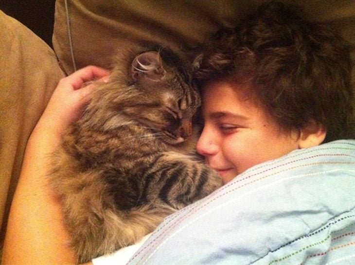 niño con su gato dormidos