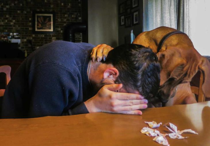 perro y humano no ganó la lotería