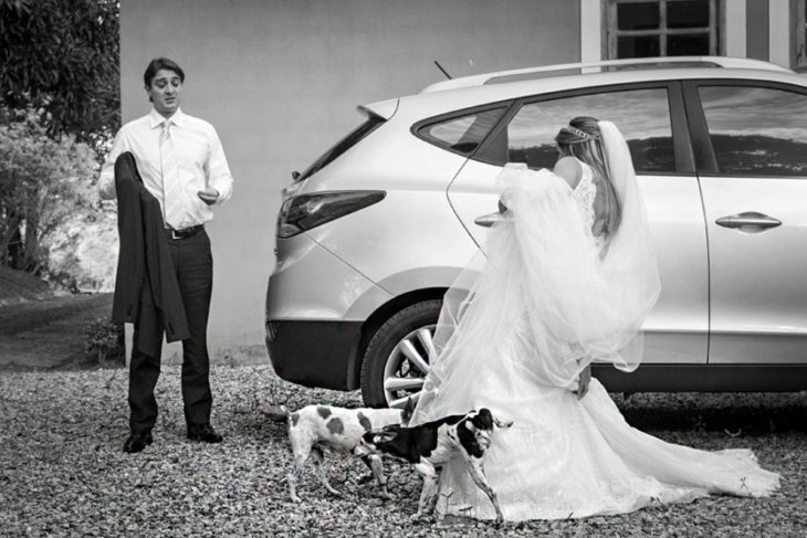 perro orinando vestido de novia