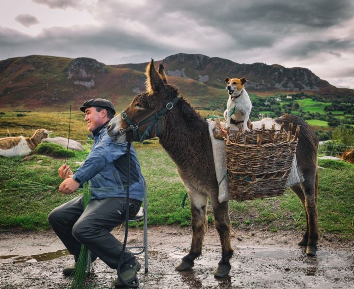 hombre con burro y perro