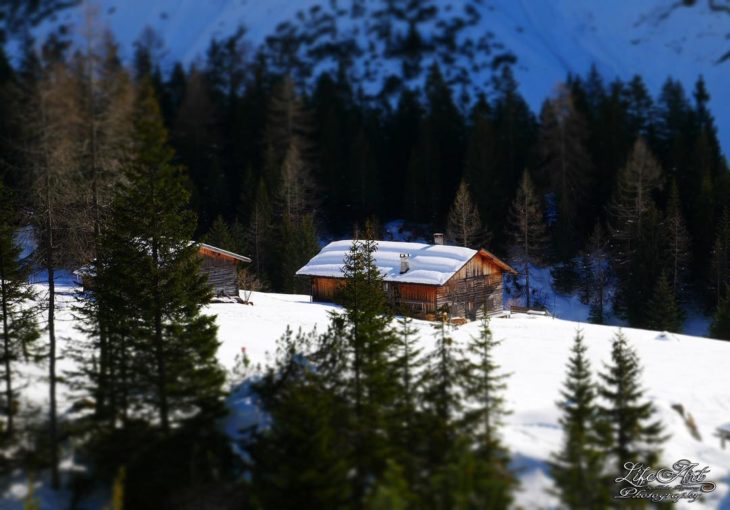 cabaña en el bosque nevado