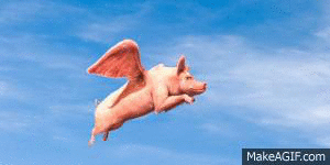 cerdo volando