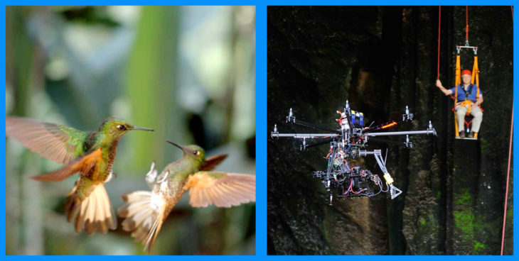 detrás de cámaras de la toma de dos colibríes 