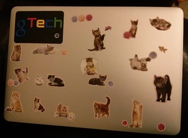 laptop con estampitas de gatos