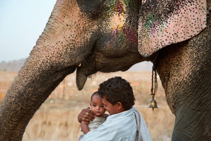 hombre, bebé y elefante