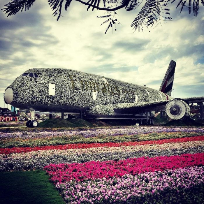 avión de los emiratos árabes adronado con flores