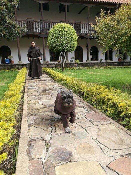 perrito corriendo en un convento