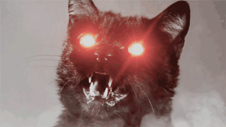gato demoniaco ojos rojos