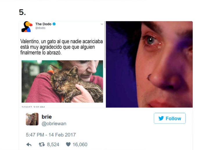 foto de una persona abrazando a un gato mientras otra llora