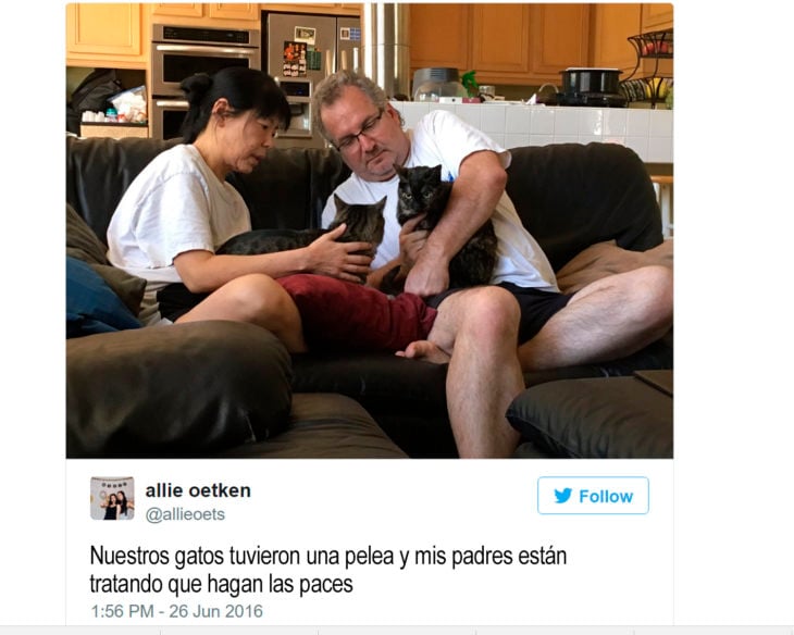 hombre y mujer de mediana edad acarician dos gatos