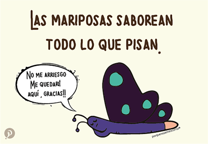 ilustración de una mariposa