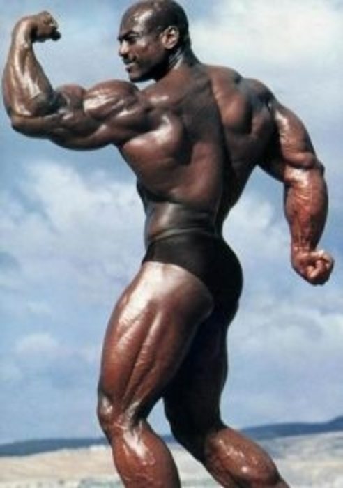 mr-olympia-1-2