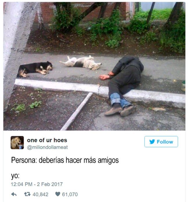 indigente recostado en la calle al lado de dos perros