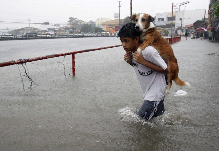 Niño carga a su perro en una inundación