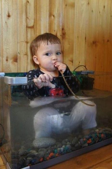 niño bebiendo agua de una manguera de una pecera