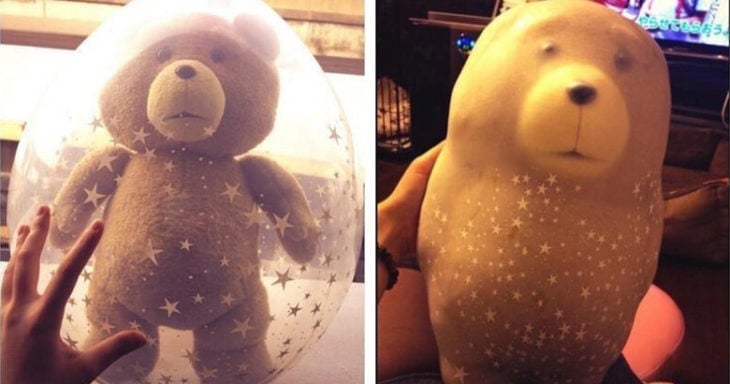 expectativa y realidad de oso