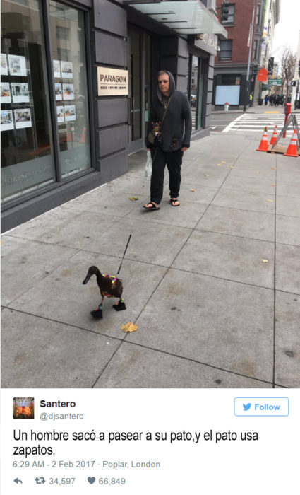 hombre camina por la calle con un pato que usa zapatos